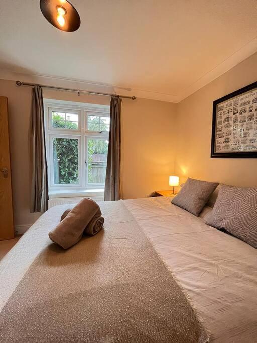 Space And Comfort In Summertown Oxford Buitenkant foto